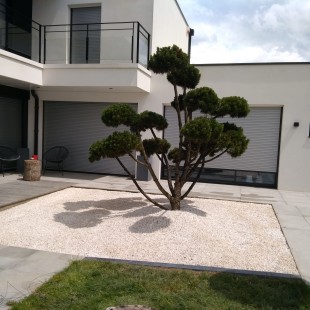 Création